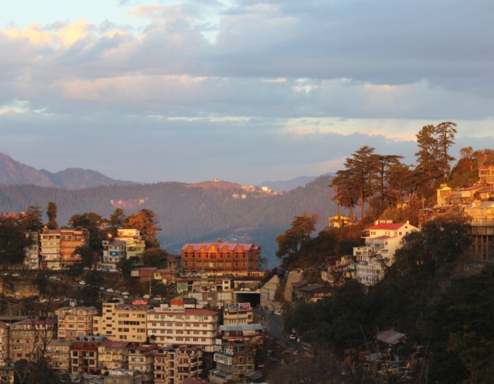 shimla